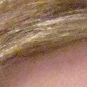 ISO 800
