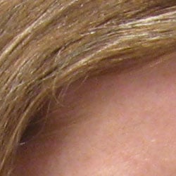 Subtle detail: Hair Noise suppression tends to blur detail in areas of subtle contrast, as in