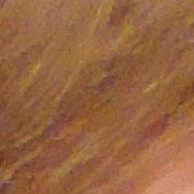 ISO 800