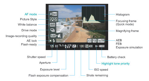 Rebel T1i (EOS 500D) Live View image 1