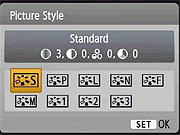 Rebel T1i (EOS 500D) Exposure image 5