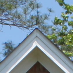 With default sharpening settings, the Canon T1i's JPEG files show only minor sharpening artifacts. With its