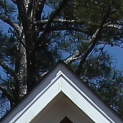 With default sharpening settings, the Canon T2i's JPEG files show some minor sharpening artifacts. With its