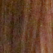 Rebel T2i (EOS 550D) Imaging image 26