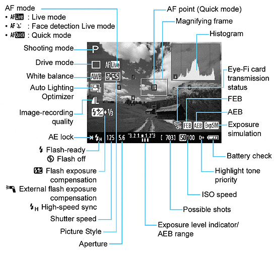 Rebel T3 (EOS 1100D) Live View image 2