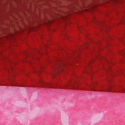100% crop from Canon T5 test image taken at ISO 100