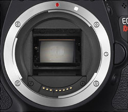 Rebel T3i (EOS 600D) Optics image 1