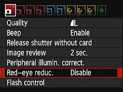 Rebel T3i (EOS 600D) Flash image 2