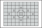 Here you can see the coverage of the T3i's four metering modes, accompanied by the positions