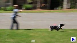 Rebel T3i (EOS 600D) Video image 3