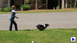 Rebel T3i (EOS 600D) Video image 4