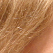 ISO 80