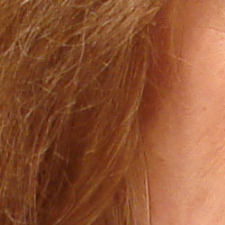 Subtle detail: Hair Noise suppression tends to blur detail in areas of subtle contrast, as in