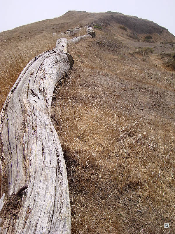 Click to see YDSC00020.JPG