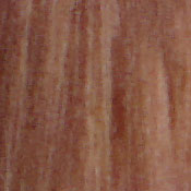 Sony Cyber-shot DSC-W300 Exposure image 19
