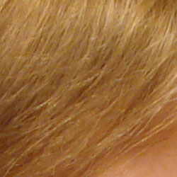 Subtle detail: Hair Noise suppression tends to blur detail in areas of subtle contrast, as in