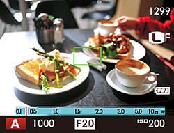 FinePix X100 Overview image 15