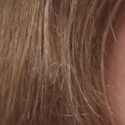 Subtle detail: Hair Noise suppression tends to blur detail in areas of subtle contrast, though detail