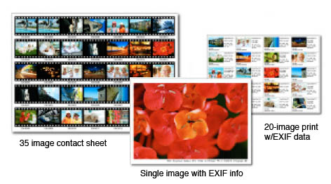 400D Rebel XTi Overview image 15