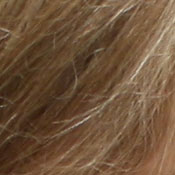 ISO 200