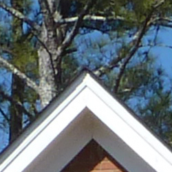 Definition of high-contrast elements is affected by noise suppression and there's evidence of edge enhancement.