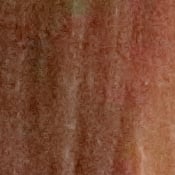 5D Mark IV Exposure image 41