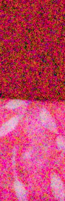 5D Mark IV High ISO Noise Reduction image 102