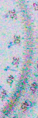 5D Mark IV High ISO Noise Reduction image 117