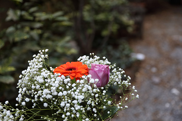 Canon 5D Mark IV Review -- Gallery Image