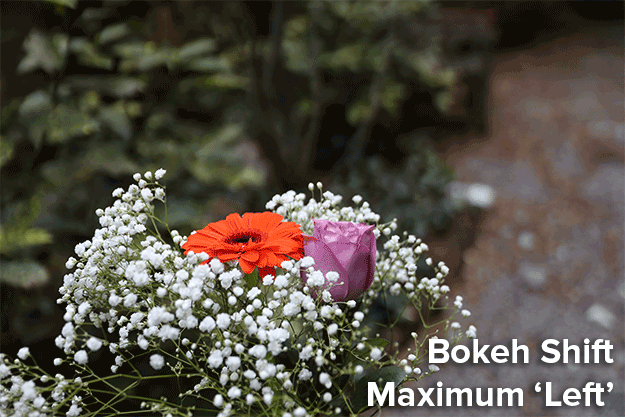 Canon 5D Mark IV Review -- Gallery Image