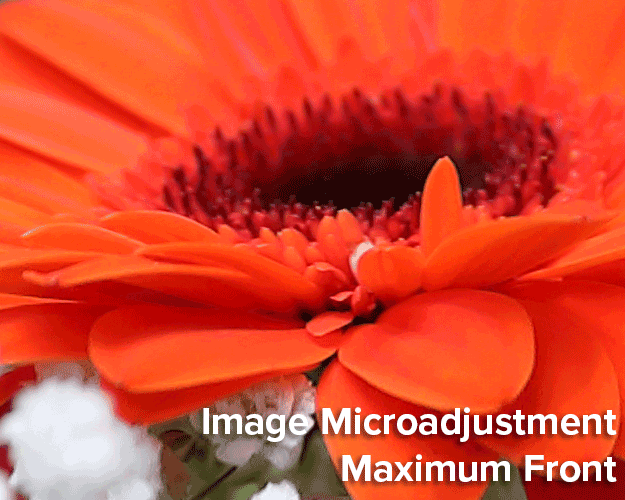 Canon 5D Mark IV Review -- Gallery Image
