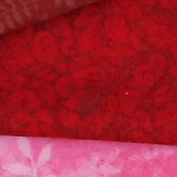 100% crop from Canon 5D Mark III test image taken at ISO 3200