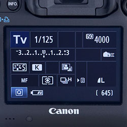 5D Mark III Technical Info image 8