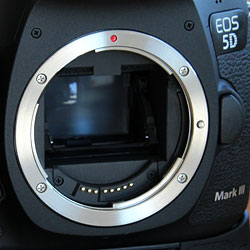 5D Mark III Technical Info image 5