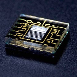 5D Mark III Technical Info image 4