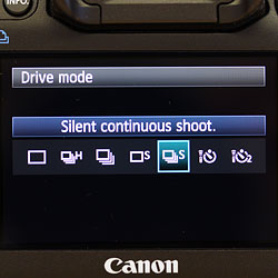 5D Mark III Technical Info image 6