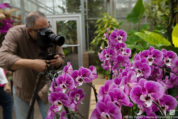 5D Mark III Overview image 23