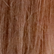 5DS R Exposure image 37