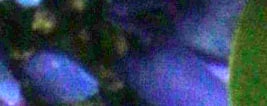 5DS R Exposure image 44