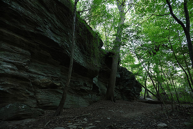 Canon 5DS R Review -- Gallery Photo