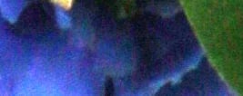 5DS Exposure image 44