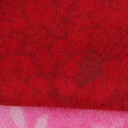 100% crop from Canon 5DS test image taken at ISO 1600