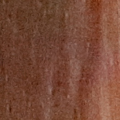 6D Mark II Exposure image 40