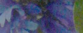 6D Mark II Exposure image 46
