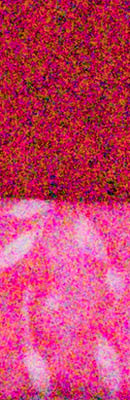 6D Mark II High ISO Noise Reduction image 102