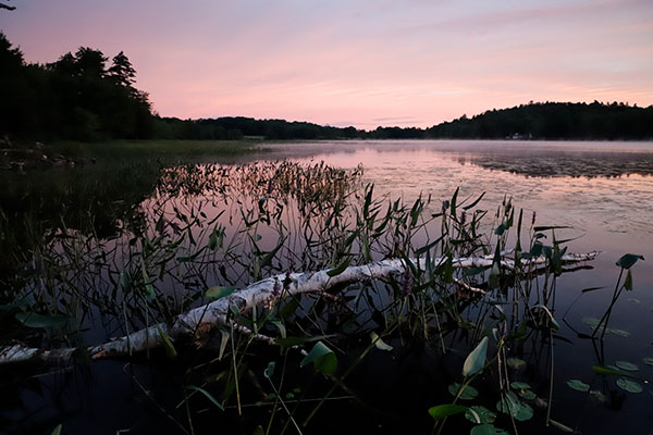 Canon 6D II Review: Field Test -- Gallery Image