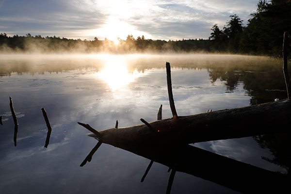 Canon 6D II Review: Field Test -- Gallery Image