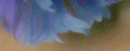 6D Exposure image 50