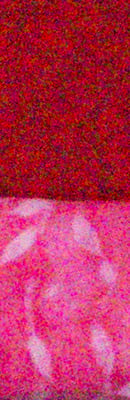 6D RAW Files image 109