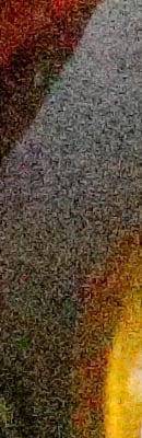 6D High ISO Noise Reduction image 137
